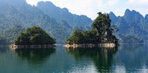 G1098835e0f5bfc1603d8885bc179b2b4616f723592fab0344506b78f723e7d3e505f41b69569c082eb0bb5500cffc08305813f46e2026dcc7a2554c60f02f1b3 640