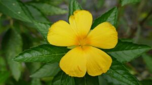 G932286de297e081d791c8d5eb78e8da3cb4a9c648a97bbdfe6c99bf8c6f42acebbbd83d43f9f89a6c49992c9c92d880d3296c7972532988928e897c36eed88f2 640